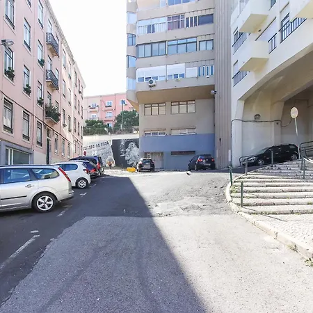 Estrela Delight By Homing Lissabon